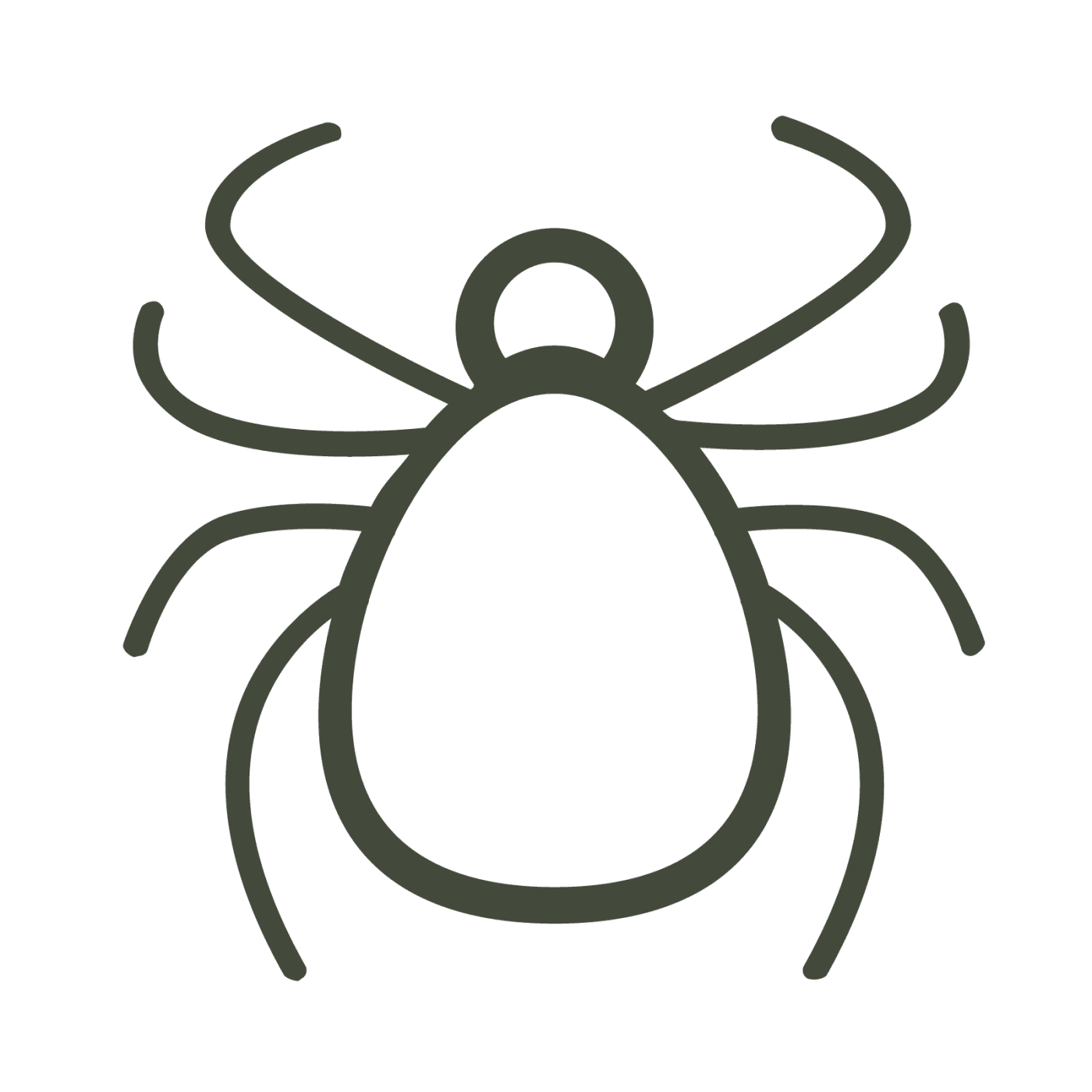 parasite