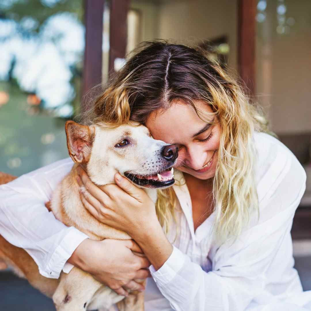 Pet Insurance