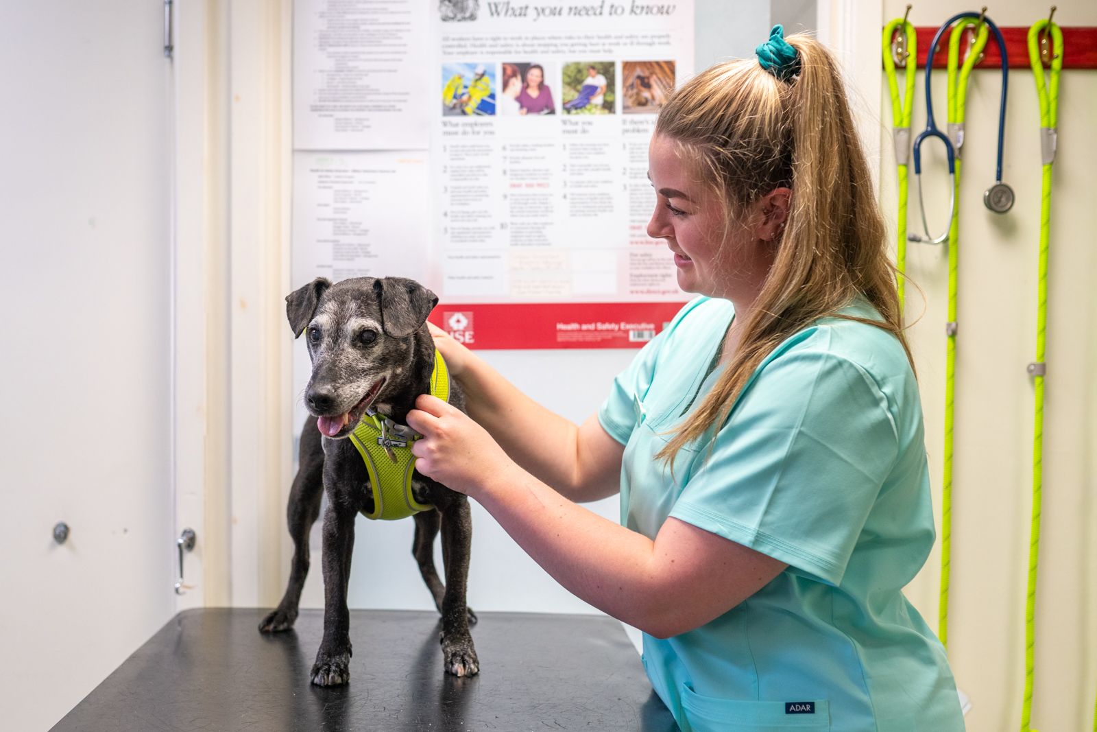 nurse with small dog