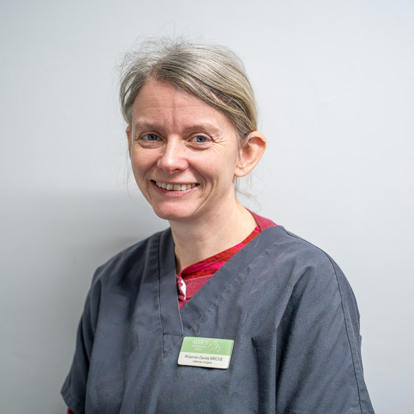 Rhiannon Davies - Abbey (Web)