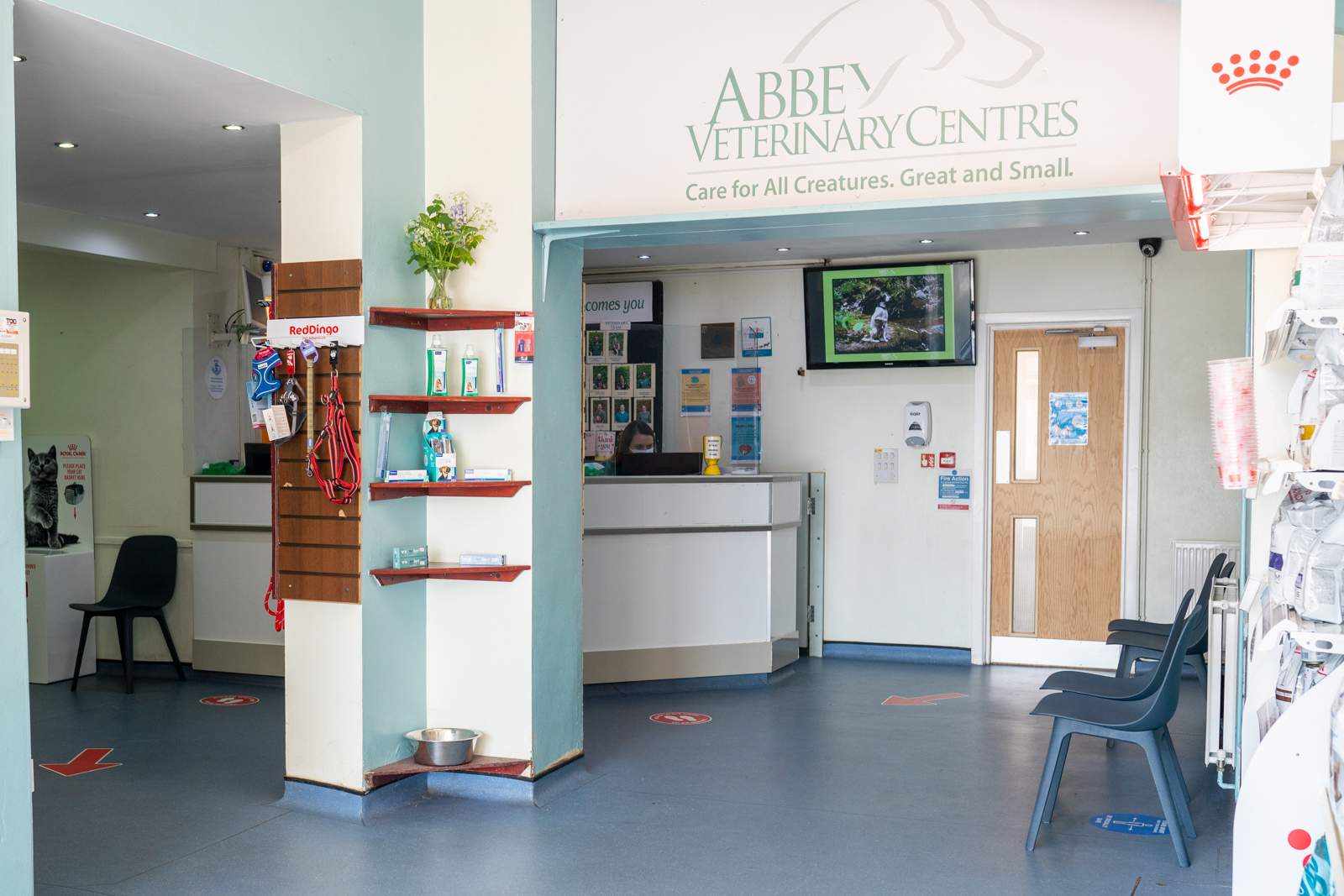 Abbey Vet Group (Web)-20